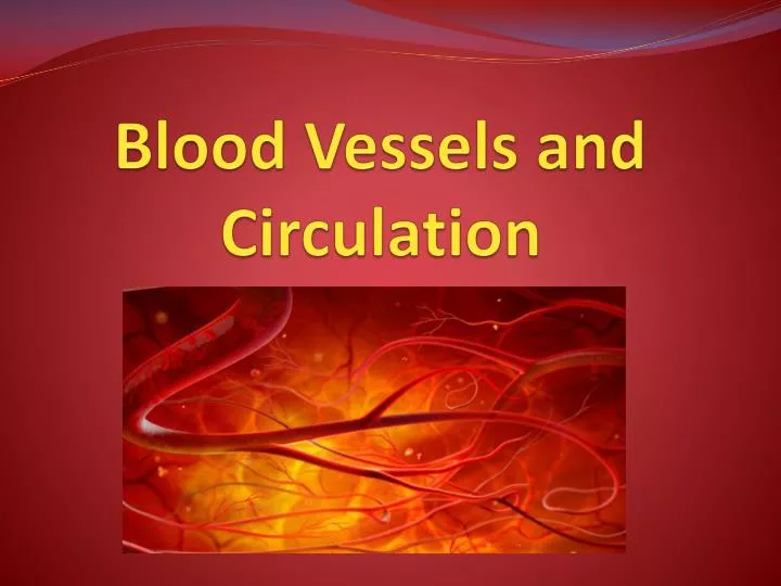 blood vessels and circulation