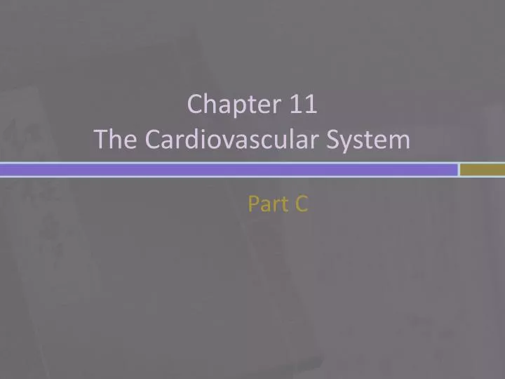 chapter 11 the cardiovascular system