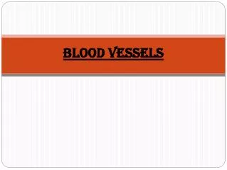 BLOOD VESSELS
