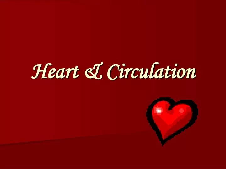heart circulation