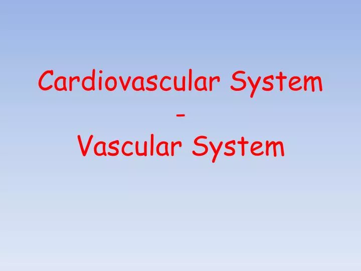 cardiovascular system vascular system