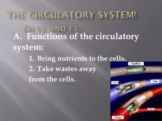 The Circulatory System! Ch 12. and 13.