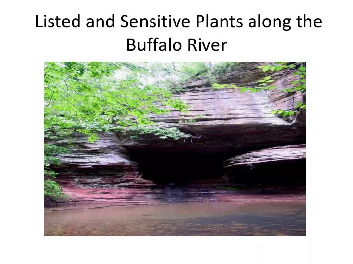 listed and sensitive plants along the buffalo river