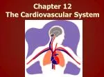 Chapter 12 The Cardiovascular System - slide 1