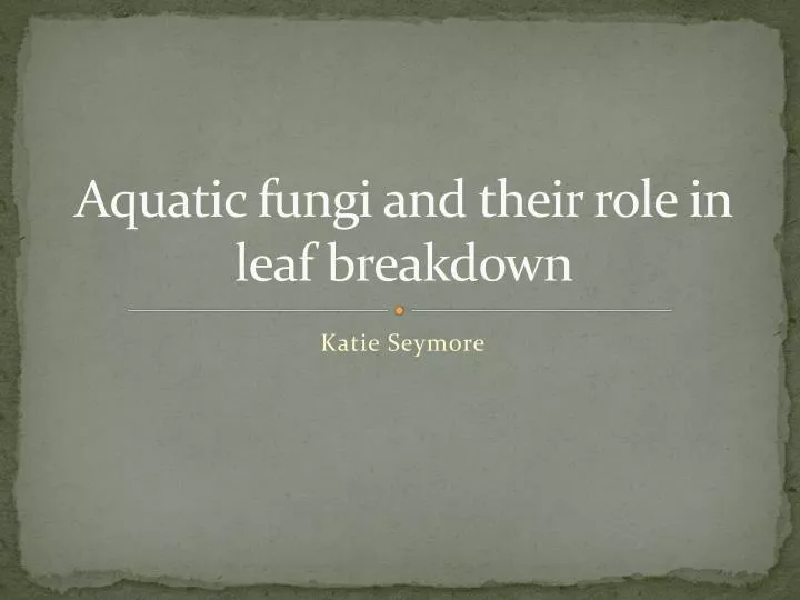 aquatic fungi and their role in leaf breakdown