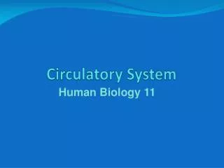 circulatory system