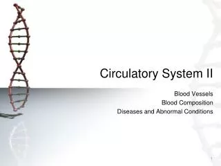 Circulatory System II