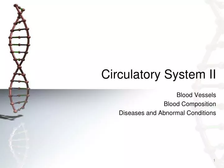 circulatory system ii