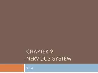 Chapter 9 Nervous system