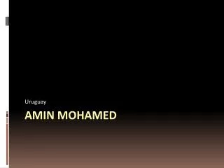 Amin Mohamed