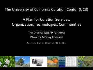 The Original NDIIPP Partners: Plans for Moving Forward