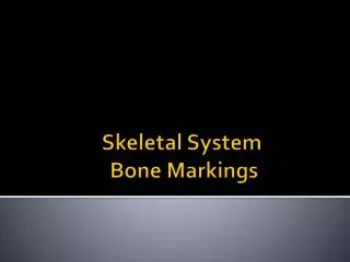 Skeletal System Bone Markings