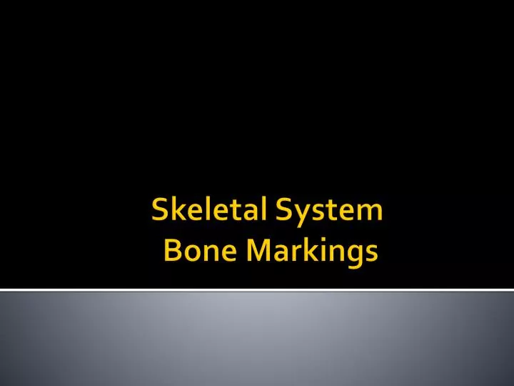 skeletal system bone markings