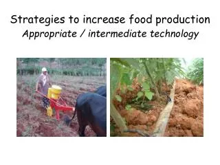 Strategies to increase food production Appropriate / intermediate technology