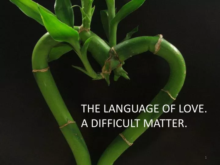 language of love