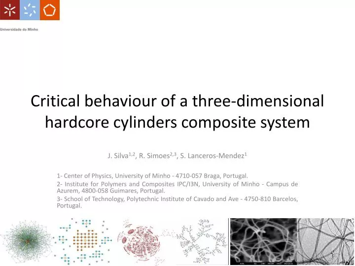 critical behaviour of a three dimensional hardcore cylinders composite system