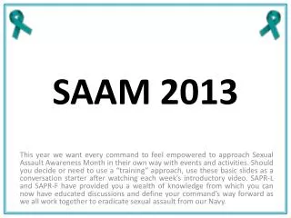 SAAM 2013