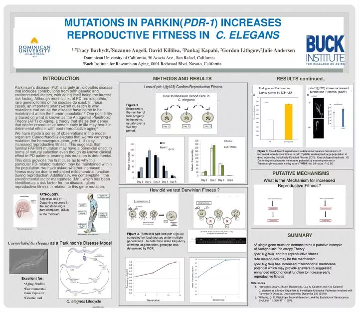 mutations in parkin pdr 1 increases reproductive fitness in c elegans