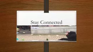Stay Connected