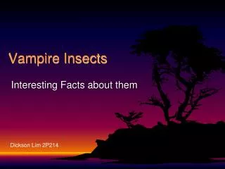 vampire insects