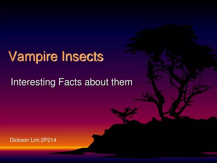 vampire insects