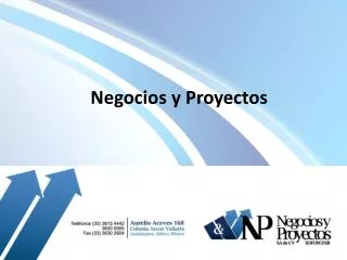 negocios y proyectos