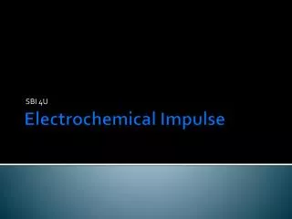 Electrochemical Impulse