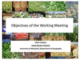 Objectives of the Working Meeting