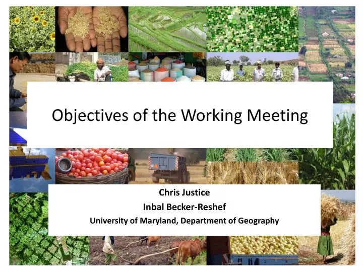 objectives of the working meeting