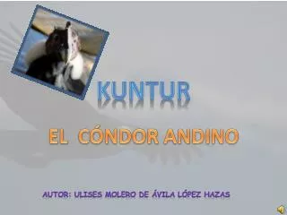 kuntur