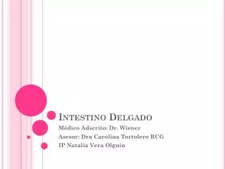 intestino delgado