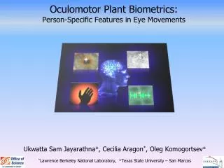 Oculomotor Plant Biometrics: Person-Specific Features in Eye Movements