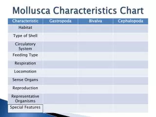 Mollusca Characteristics Chart