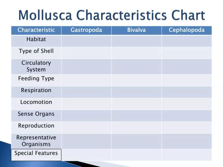 mollusca characteristics chart