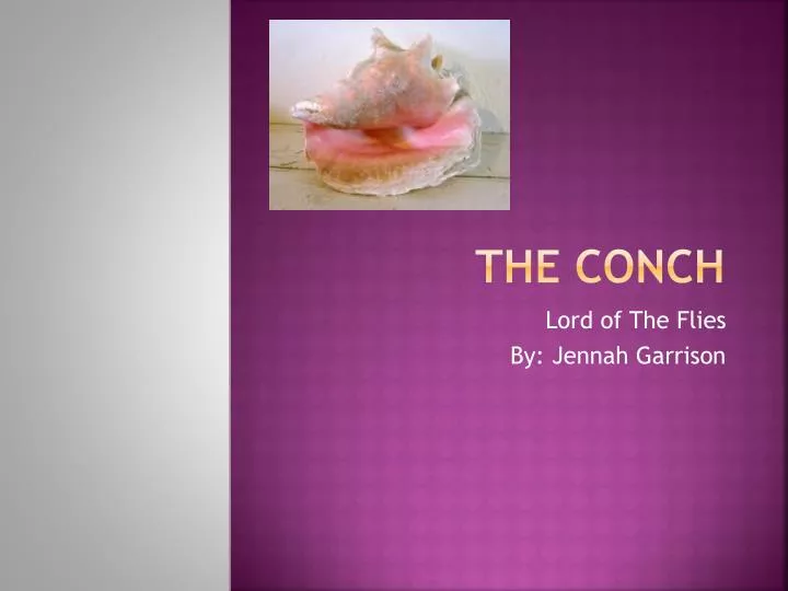 the conch