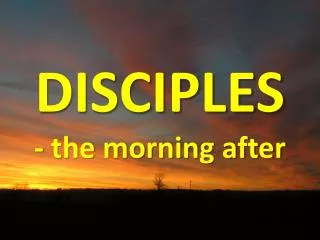 DISCIPLES - the morning after