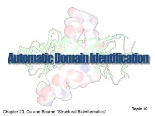 Automatic Domain Identification