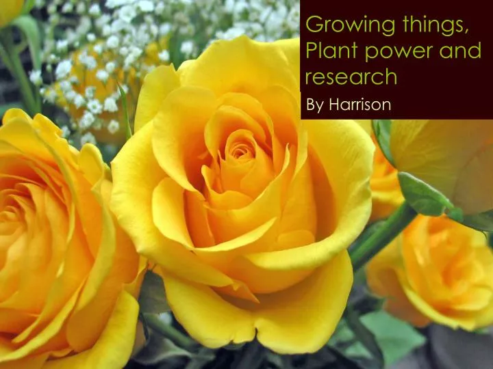 growing things plant power and research