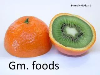 Gm-foods genetically modified foods