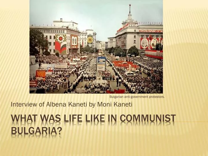 interview of albena kaneti by moni kaneti