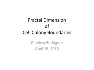Fractal Dimension of Cell Colony Boundaries