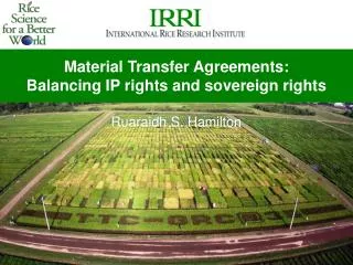 Material Transfer Agreements: Balancing IP rights and sovereign rights Ruaraidh S. Hamilton