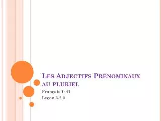 les adjectifs pr nominaux au pluriel