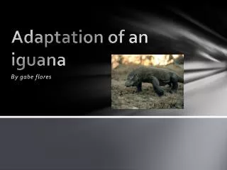 Adaptation of an iguana