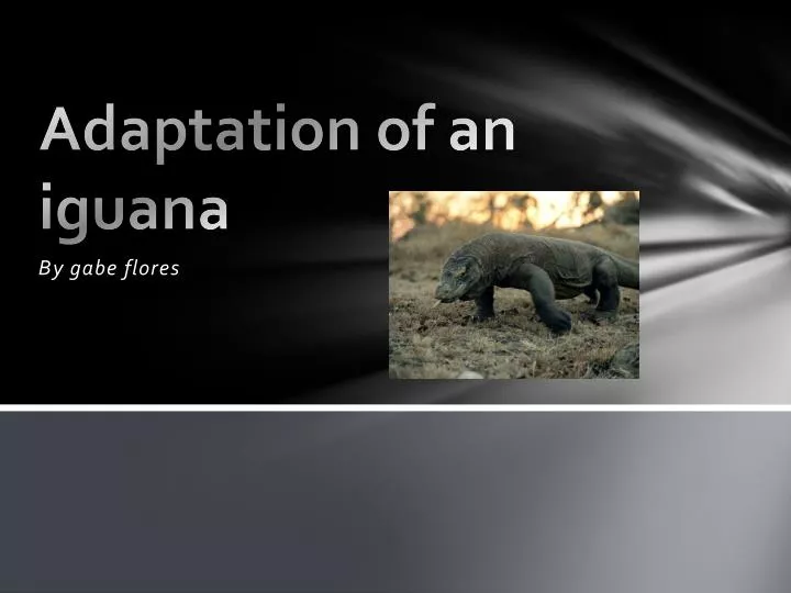 adaptation of an iguana