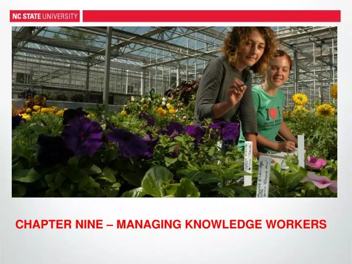 chapter nine managing knowledge workers