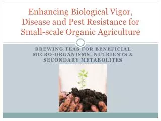 Enhancing Biological Vigor, Disease and Pest Resistance for Small-scale Organic Agriculture