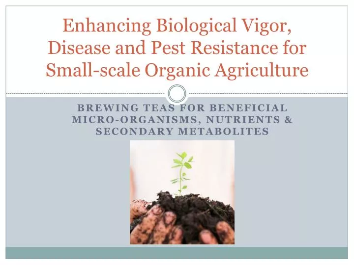 enhancing biological vigor disease and pest resistance for small scale organic agriculture