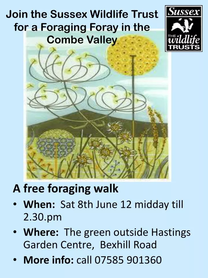 join the sussex wildlife trust for a foraging foray in the combe valley