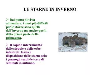 le starne in inverno